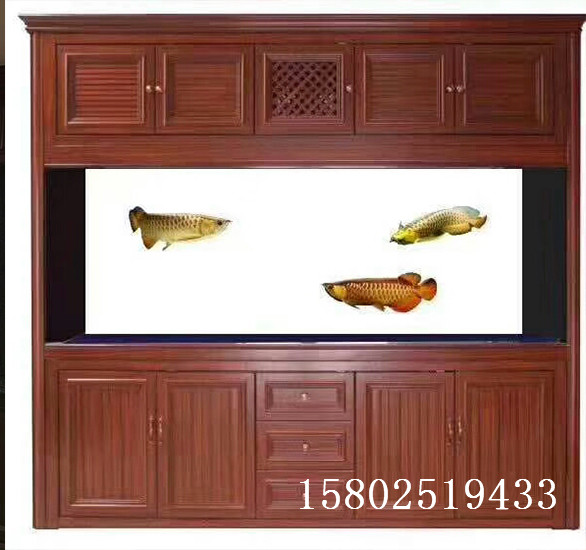 大型魚(yú)缸