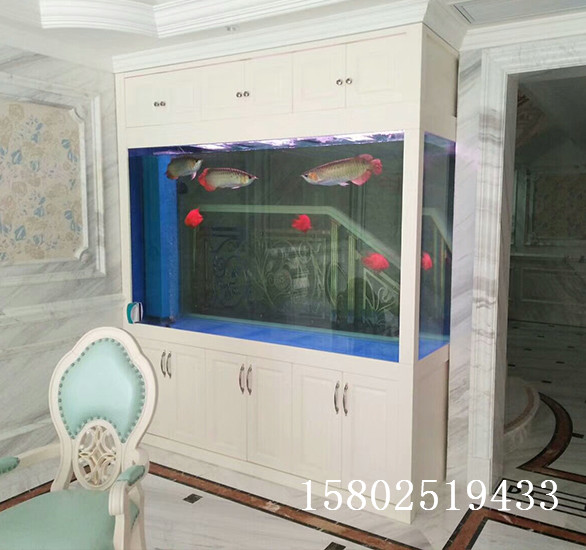 大型魚(yú)缸